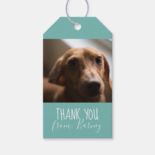 Helper Bedankt Cadeau met Dog Photo Labels Cadeaulabel (Voorkant)
