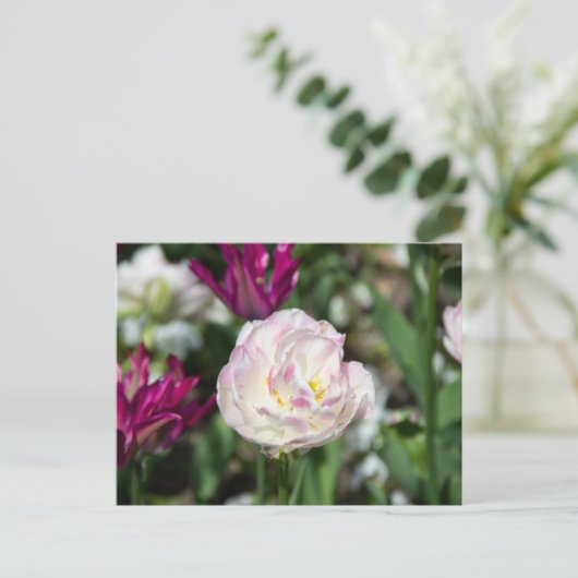 Helroze tulpen op een zonnige dag briefkaart (Staand voorkant)