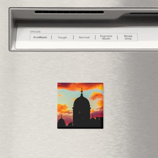 Helsinki Cathedral Magneet (Insitu (Vaatwasser))