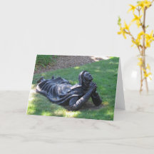 Hem Bedankt geven, Omaha, NE - Wenskaart