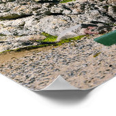 Hemanus Rocks, Westerne Kaap Poster (Hoek)