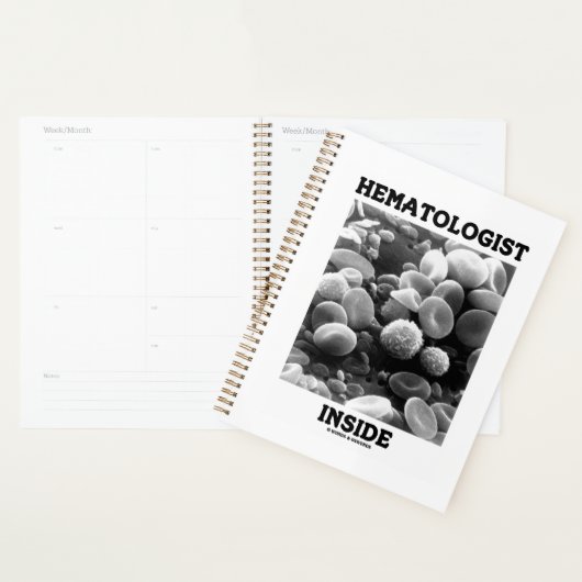 Hematologist in bloedcellen planner (Display)