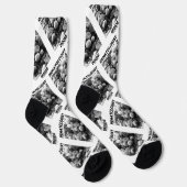 Hematologist Inside Blood Cells Electron Mcrscope Sokken (Rechts)