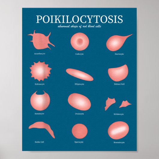 Hematology Red Blood Cell Laboratory Science Hemat Poster (Voorkant)