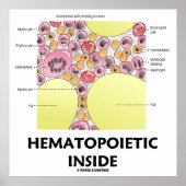 Hematopoëtisch Inside (vorming van bloedcellen) Poster (Voorkant)