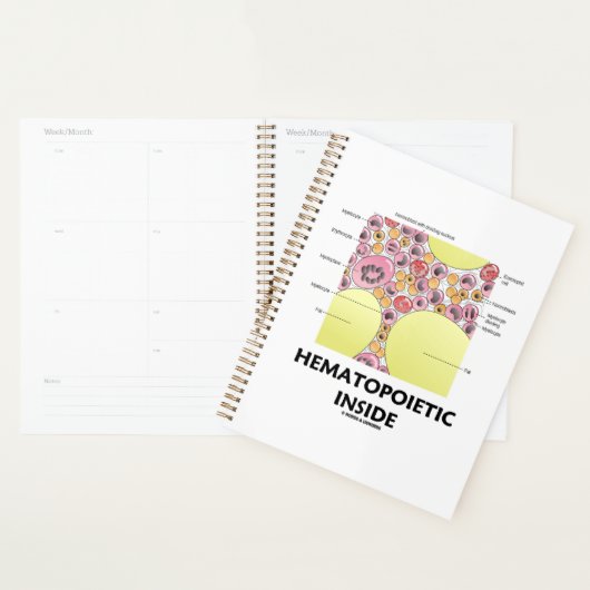 Hematopoëtische vorming van de binnenste bloedcell planner (Display)