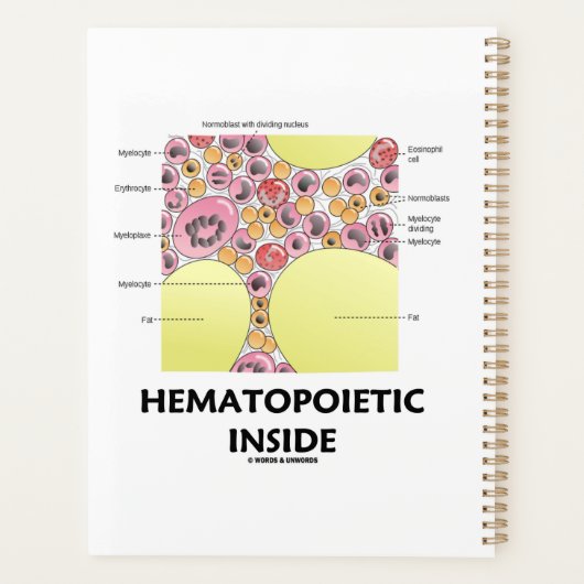 Hematopoëtische vorming van de binnenste bloedcell planner (Achterkant)