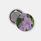 Hemel Bloem Wijnstok Tropisch Paarse Bloem Magneet (Voorkant / Achterkant)