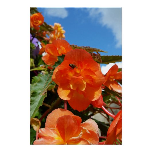 hemel , bloemen en bijen perfect poster (Voorkant)