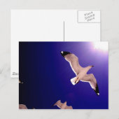 hemel briefkaart (Voorkant / Achterkant)