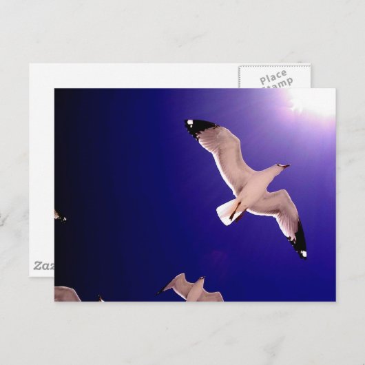 hemel briefkaart (Voorkant / Achterkant)