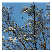 hemel in het voorjaar poster (Voorkant)