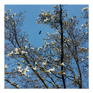 hemel in het voorjaar poster