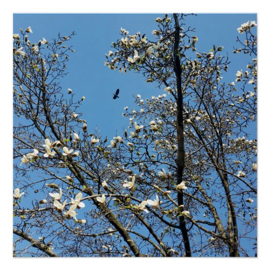 hemel in het voorjaar poster (Voorkant)