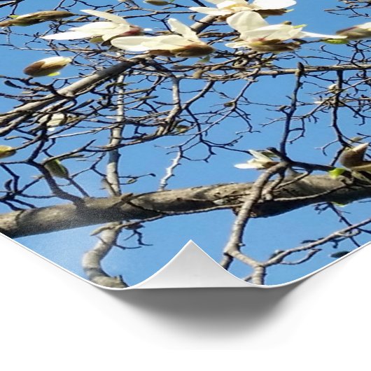 hemel in het voorjaar poster (Hoek)