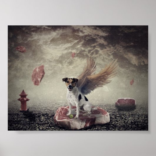 hemel voor hond poster (Voorkant)