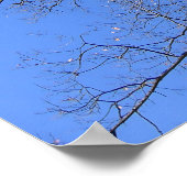 Hemelhoge Takken Poster (Hoek)