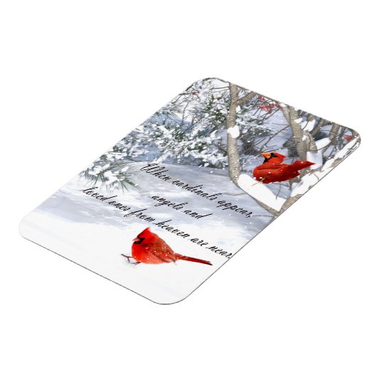 hemelkardinalen magneet (Linkerzijde)