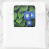Hemels Blauwe Morgen Glorie Bloemen | Vierkante Sticker (Tas)