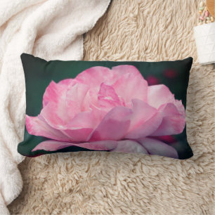 Hemels Roze Roos Bloem   Kussen