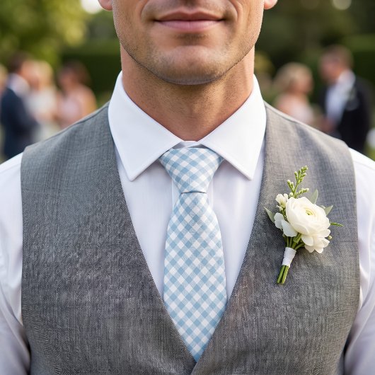 Hemelsblauw Gingham Stropdas