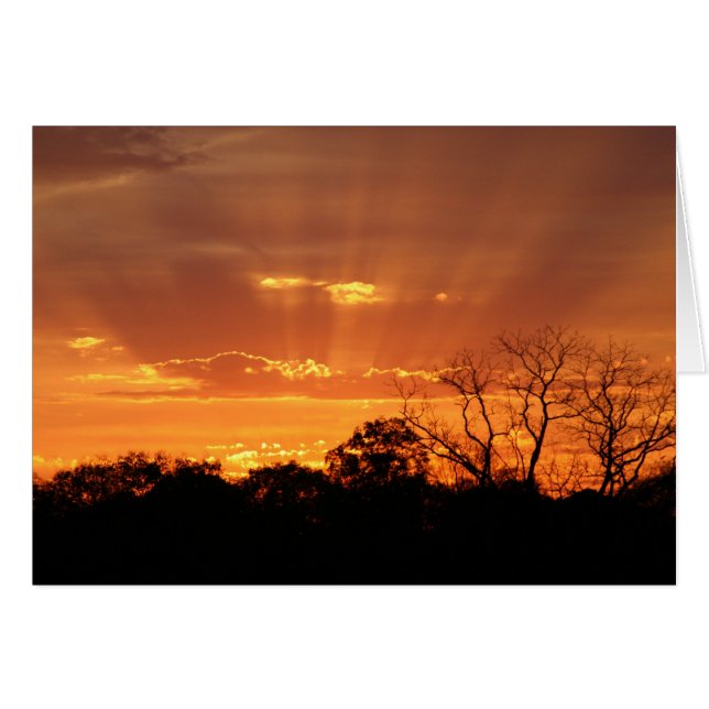 "hemelsbreed zonsondergang" door Larry Coressel (Voorkant Horizontaal)