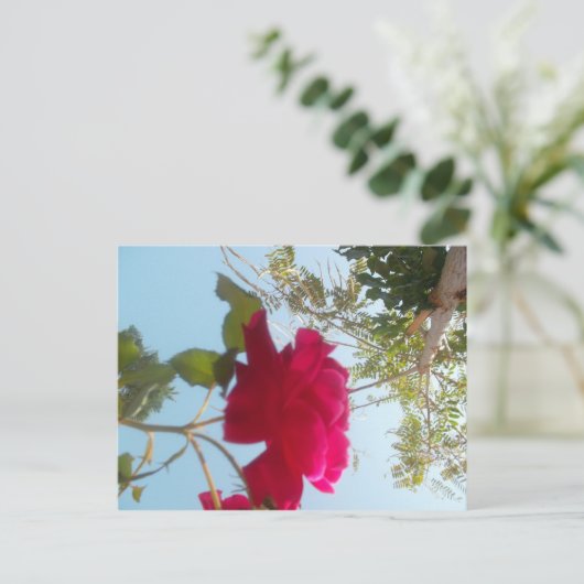 Hemelse Bloei: Een Roos tegen de Hemel Briefkaart (Staand voorkant)
