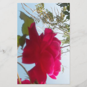 Hemelse Bloei: Een Roos tegen de Hemel Briefpapier