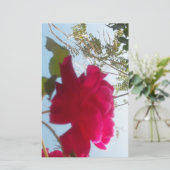 Hemelse Bloei: Een Roos tegen de Hemel Briefpapier (Staand voorkant)