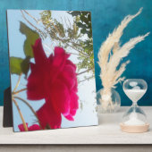 Hemelse Bloei: Een Roos tegen de Hemel Fotoplaat (Zijkant)