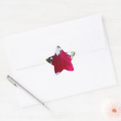 Hemelse Bloei: Een Roos tegen de Hemel Ster Sticker (Envelop)
