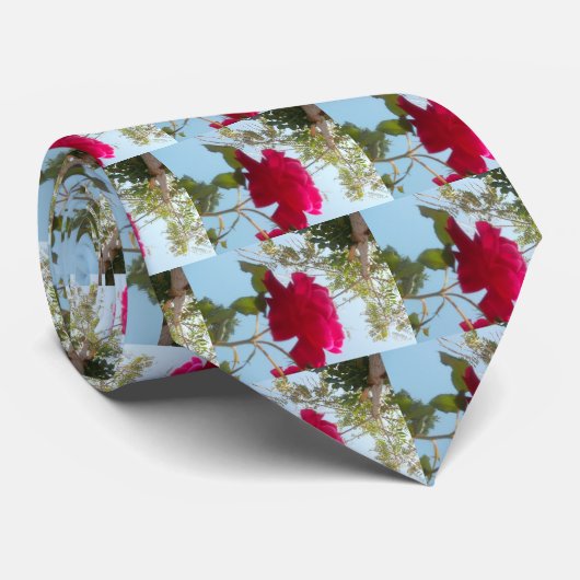 Hemelse Bloei: Een Roos tegen de Hemel Stropdas (Opgerold)