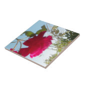 Hemelse Bloei: Een Roos tegen de Hemel Tegeltje (Zijkant)