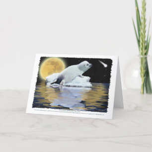 HEMELSE CHILD HARP SEAL KAARTEN