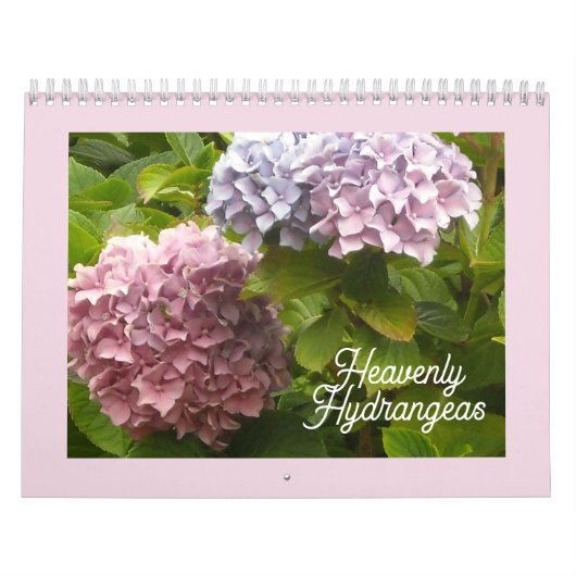 Hemelse Hortensia Kalender (Hoes)