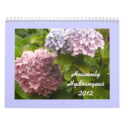 Hemelse Hortensia's 2012 Kalender (Hoes)