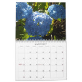 Hemelse Hortensia's 2012 Kalender (Mar 2027)