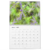 Hemelse libellen op een sterrenhemel kalender (Mar 2027)