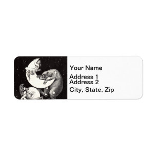 Hemelse Maan Lucht Universum God Nacht Illustratie Etiket