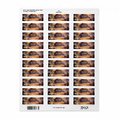 Hemelse Priesteres van de Gouden Piramide Etiket (Full Sheet)