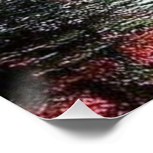 hemelse regenboog perfect poster (Hoek)