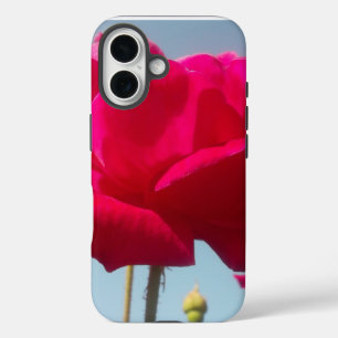 Hemelse Roos Mooie Rode Bloem Tegen Blauw iPhone 16 Hoesje