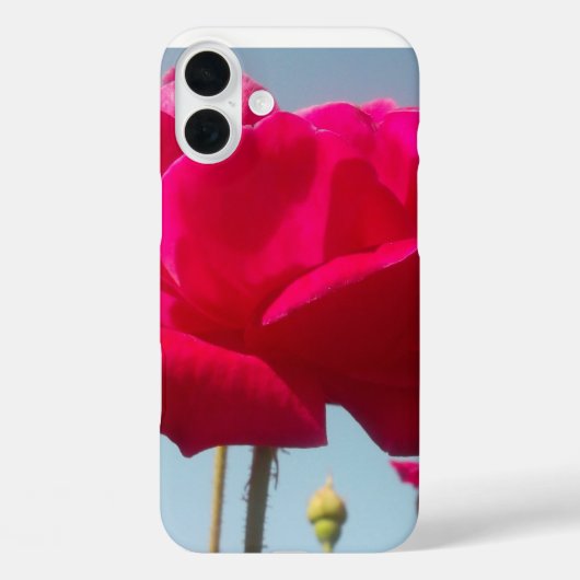 Hemelse Roos | Mooie Rode Bloem Tegen Blauw Case-Mate iPhone Case (Achterkant)