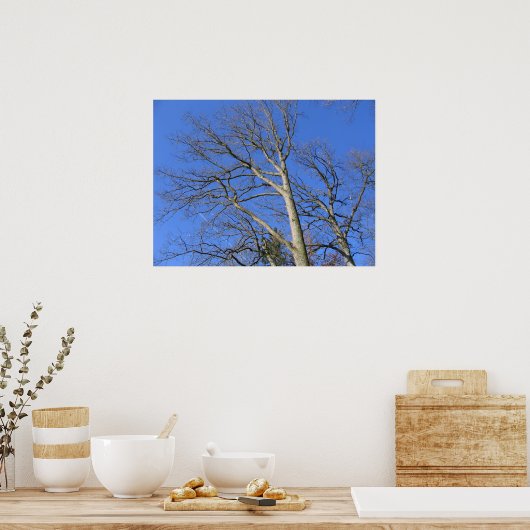 Hemelse Takken Poster (Keuken)