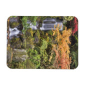 Hemelse Watervallen en herfstkleuren Magneet (Horizontaal)