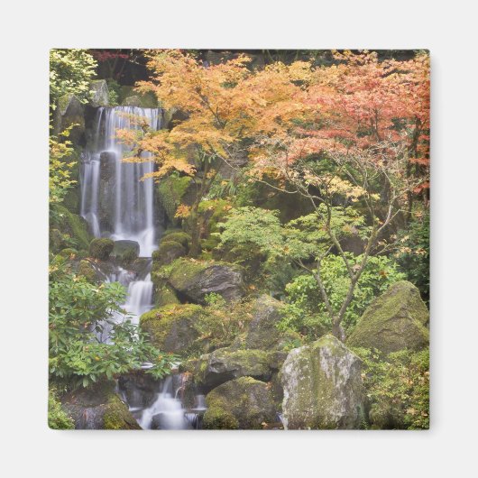 Hemelse watervallen en herfstkleuren magneet (Voorkant)