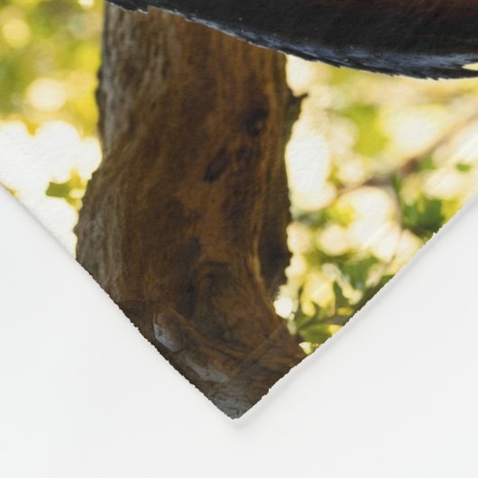 Hemelse wezens engel demon fantasie fleece deken (Hoek)