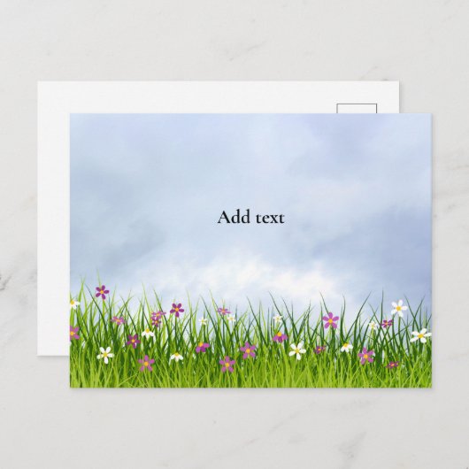 Hemelse wolken, weide met bloemen, briefkaart (Voorkant / Achterkant)