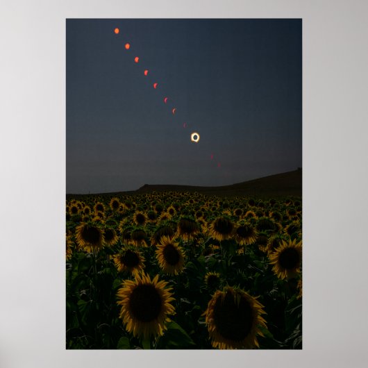 Hemelse Zonnebloemveld Kunstprint Poster (Voorkant)