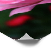 Hemelsroze Roos Bloem Orton Kunst Poster (Hoek)